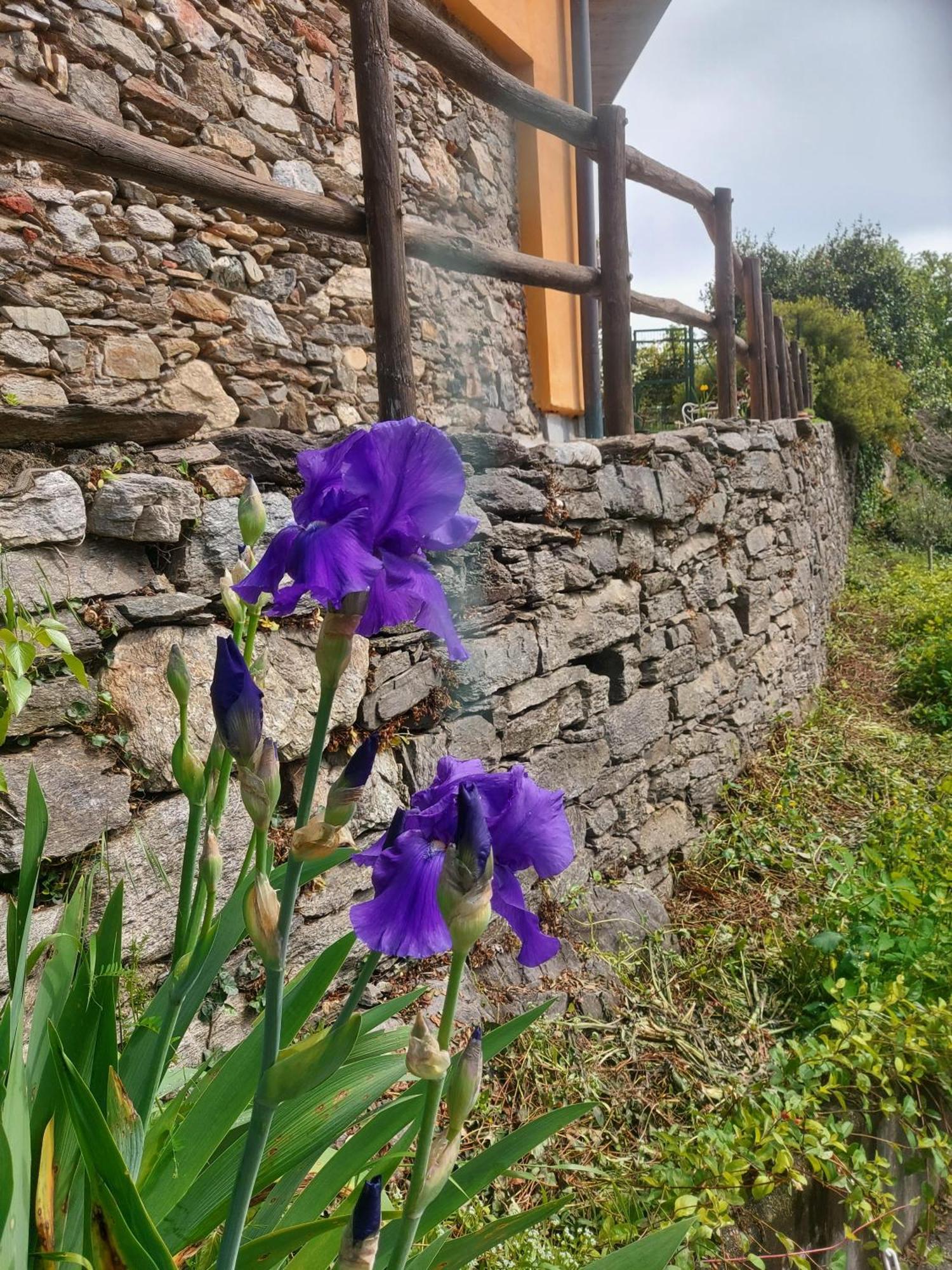 La Nave B&B Monteggio Εξωτερικό φωτογραφία